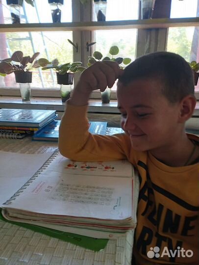 Логопед дефектолог онлайн