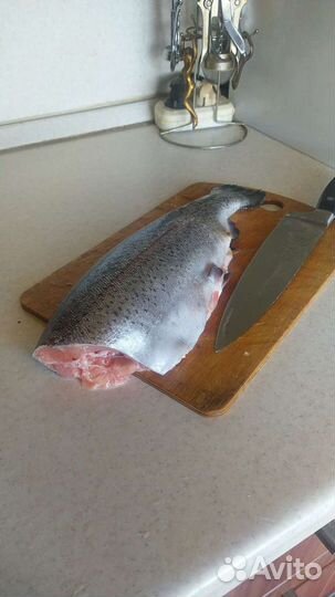 Форель радужная свежая