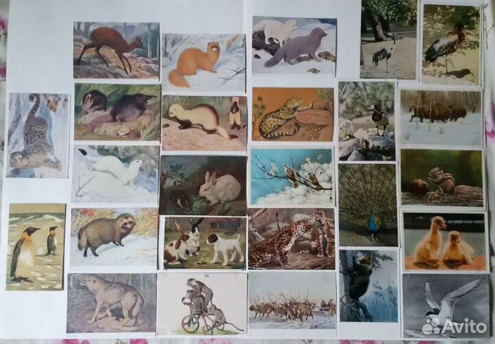 Открытки разные советские немецкие царские