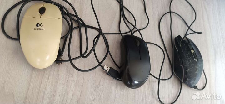 Мышки с незначительными дефектами