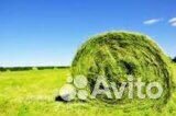 Сено в рулонах с доставкой 2023