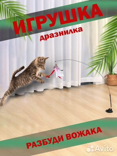 Игрушки для кошек котов котят