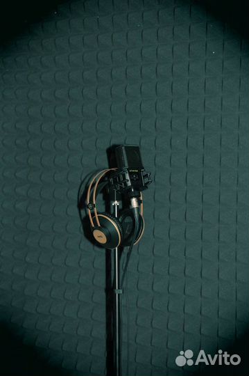 Lewitt 441 flex + стойка для микрофона rockdale