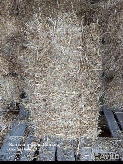 Солома в тюках