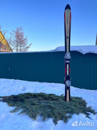 Карвинговые горные лыжи Elan Team Carve