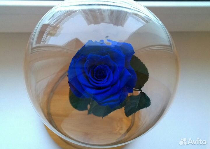 Роза в колбе. Много размеров