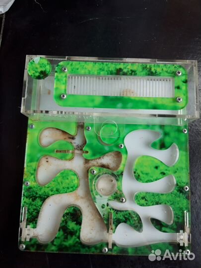 Муравьиная ферма