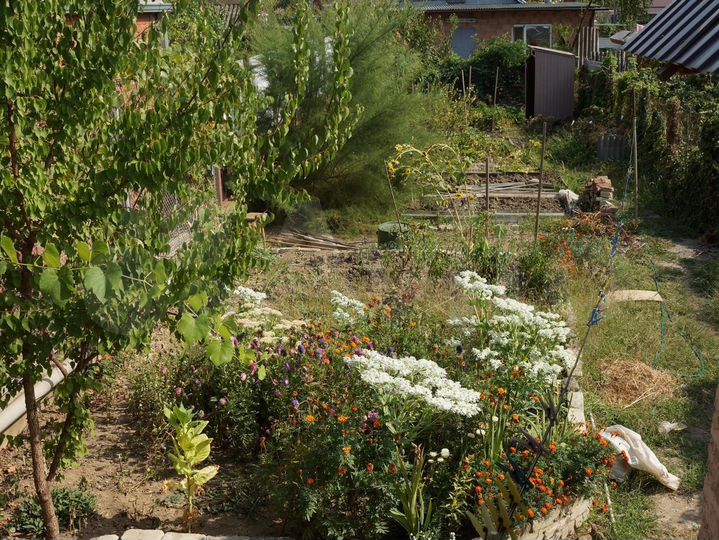 Дом 69 м² на участке 2,5 сот.