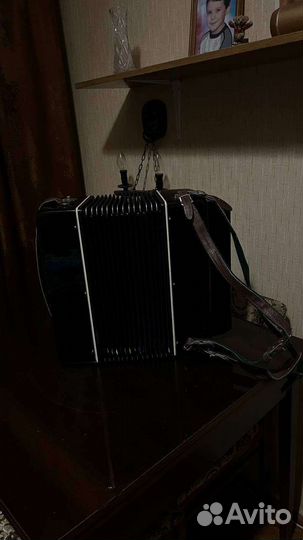 Баян вологодский