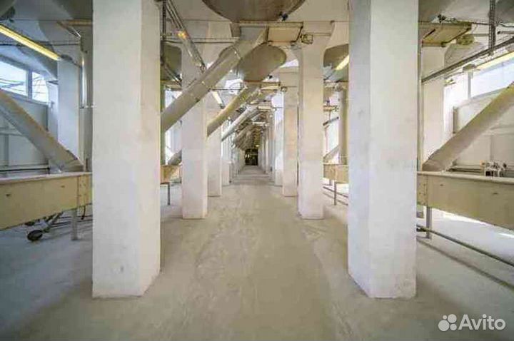 Корм для кур, коров, кроликов, овец только опт