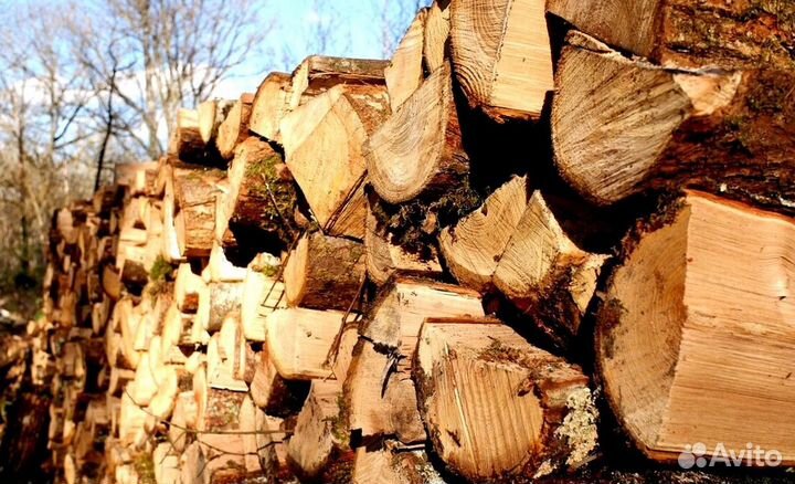 Дрова доставим