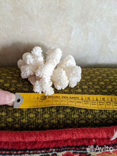 Белый объемный коралл