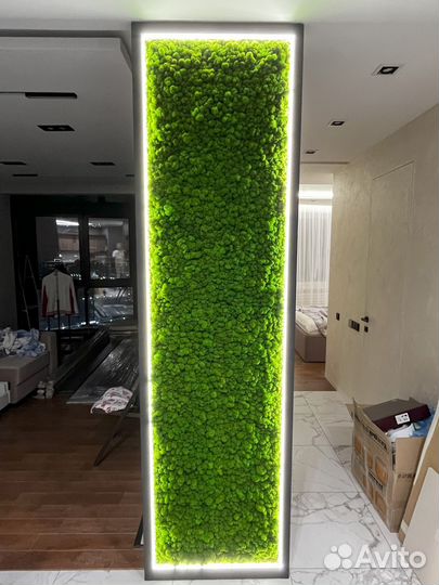 Вертикальное озеленение мхом