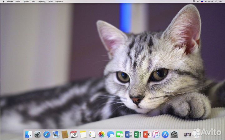 Apple Mac mini (Mid 2010) Intel Core / 8 / 256 SSD