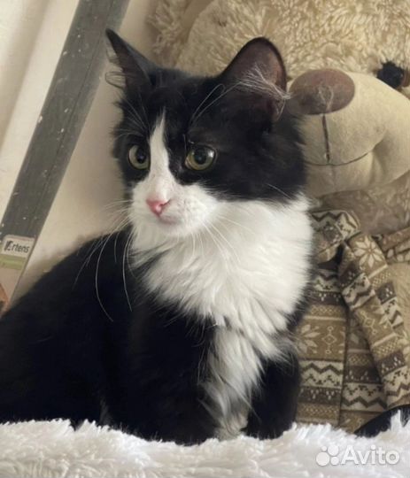 Очень ласковая кроха, 5 месяцев