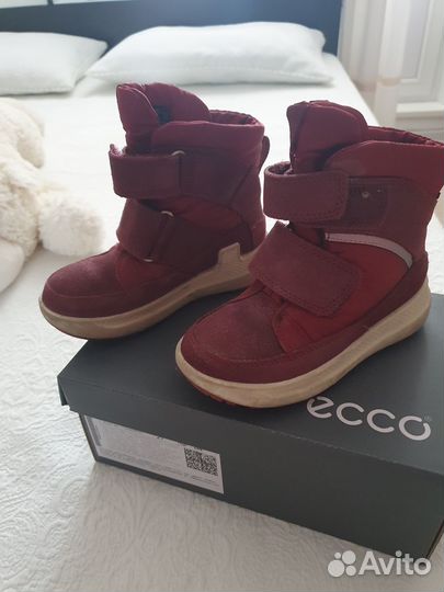 Продам сапоги Ecco