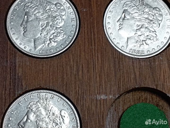 Доллар - Мирный, Морган