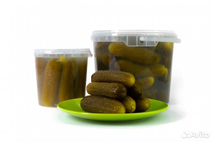 Огурцы соленые бочковые оптом