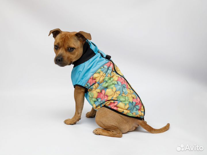 Жилетка для собак