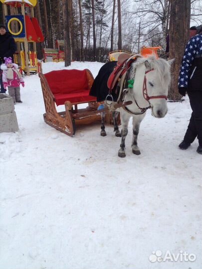 Подковы, инструменты, седло, уздечка, овес плющенн