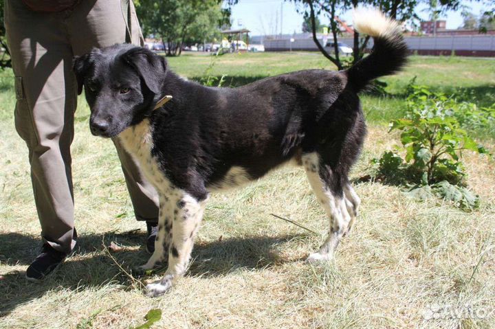 Замечательный мальчик Каен ждёт семью