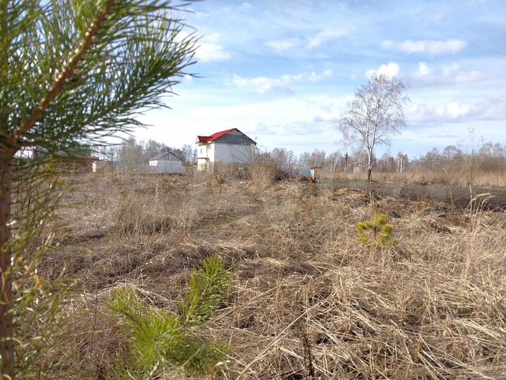 Участок 10 сот. (СНТ, ДНП)
