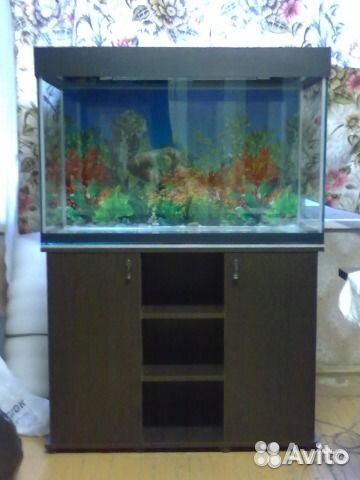 Аквариум/террариум из телевизора проекционного.нов