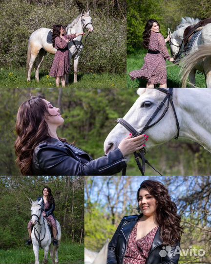 Фотограф, фотосессия с лошадьми