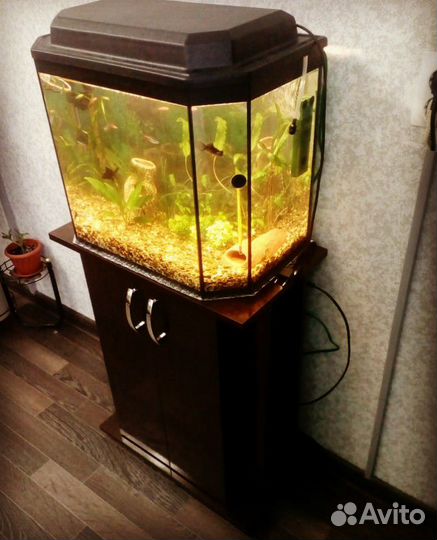 Аквариум 50 литров