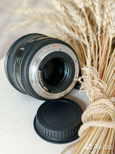 Объектив Sigma AF 50mm F1.4 на canon