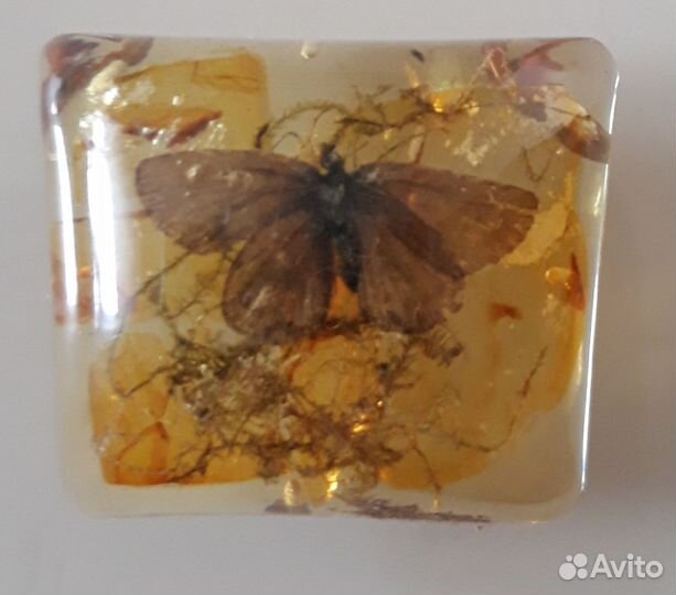 Насекомые в эпоксидной смоле. Винтажная штучка