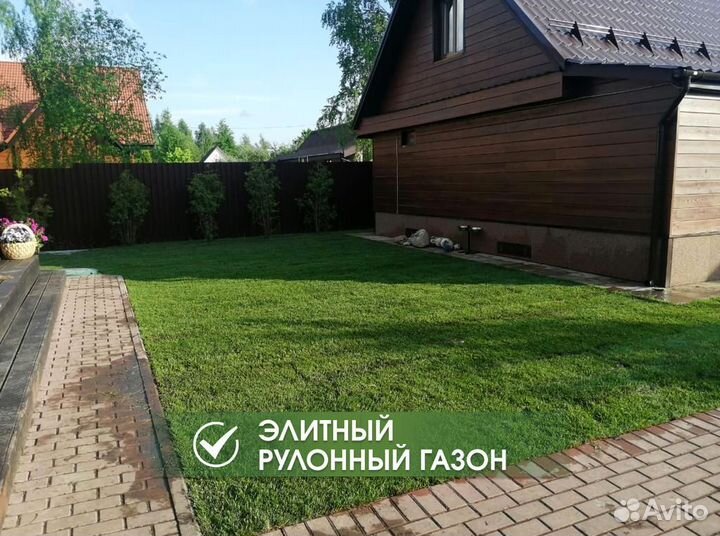 Рулонный газон под ключ