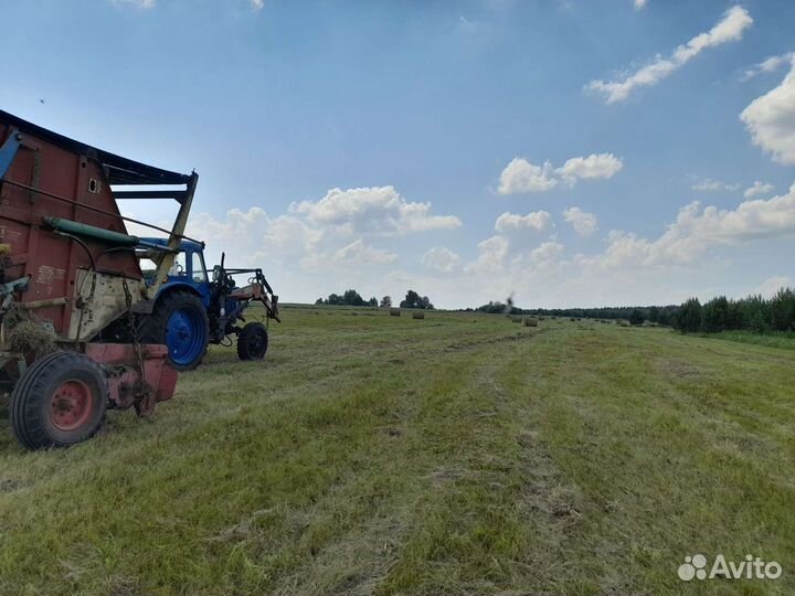 Свежий урожай, Солома Доставка дров,сено, навоз