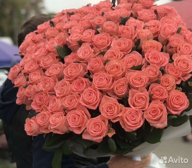 Букеты из 101 розы