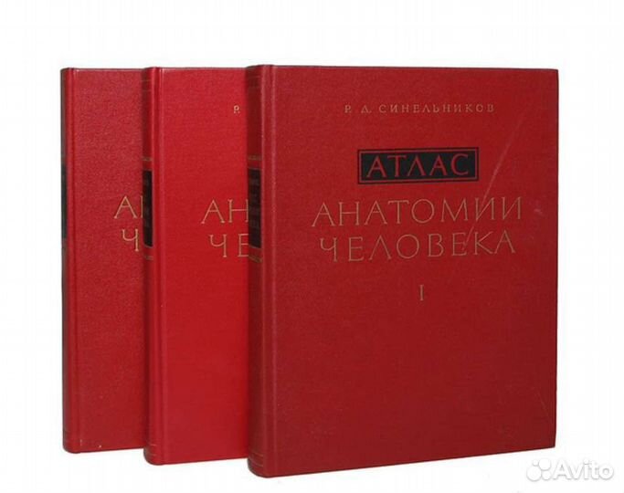 Атлас анатомии человека