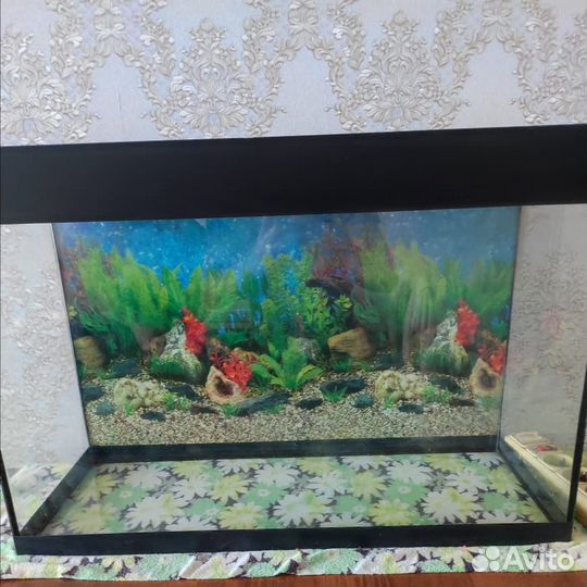Аквариум