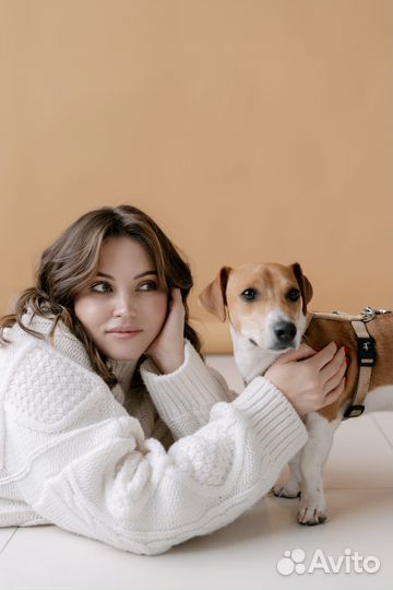 Профессиональная стрижка собак и кошек