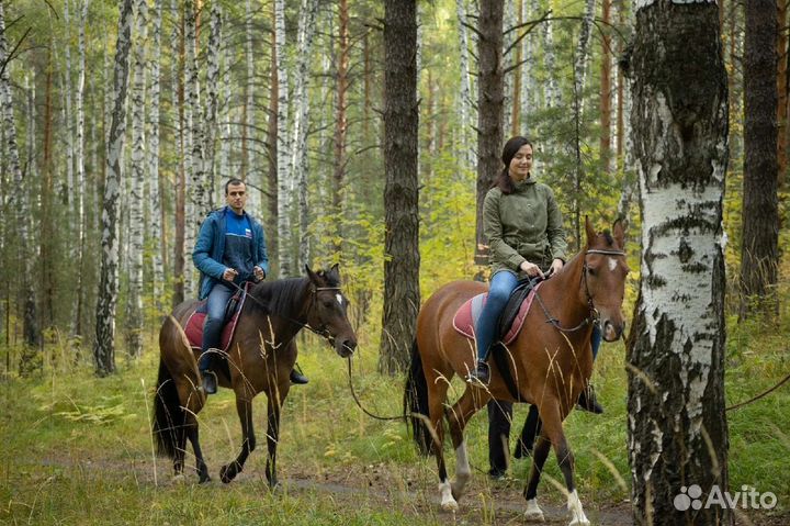 Конные прогулки фотосессии обучение верховой езде