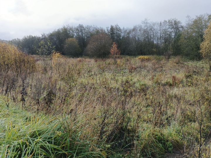 Участок 9 сот. (ИЖС)