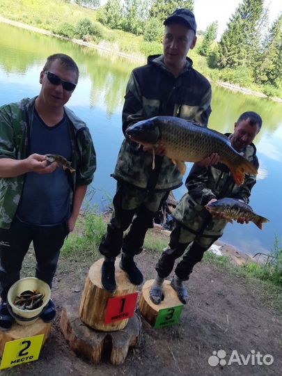 Рыбалка семейный отдых