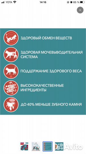 Корм для кошек