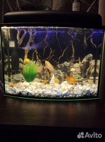 Аквариум