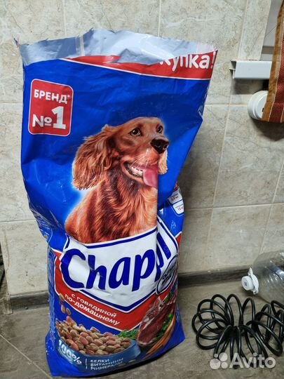 Сухой корм для собак