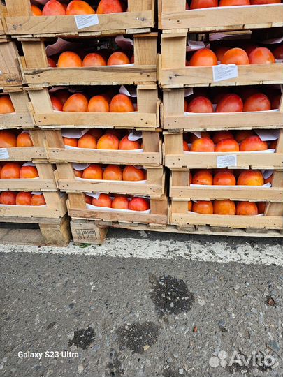 Хурма огонёк