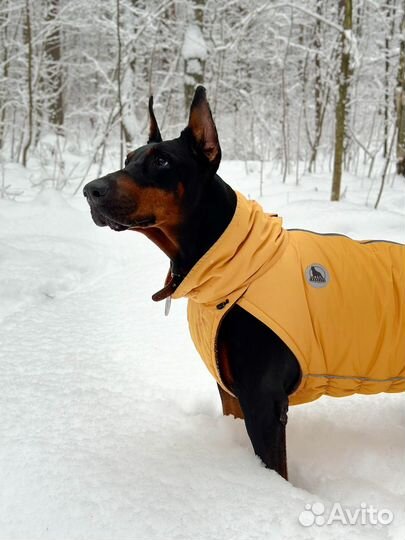 Фотоотзывы для Wb / озон