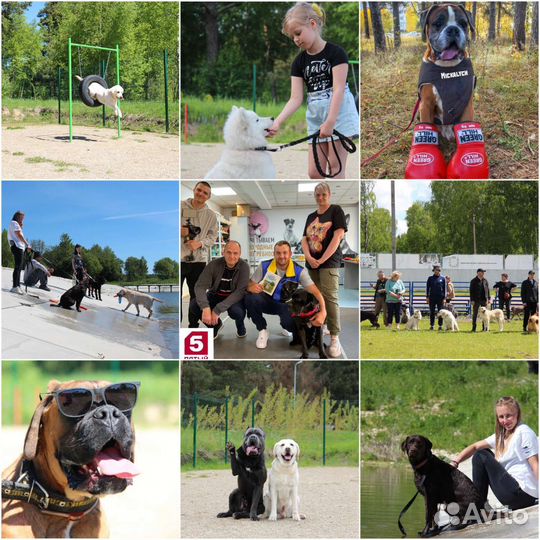 Инструктор-Кинолог