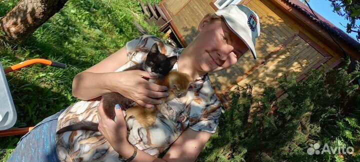 Катяты в добрые руки