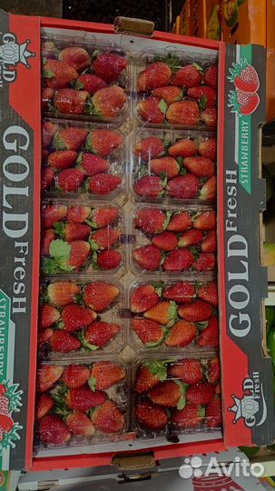 Клубника свежая оптом египет