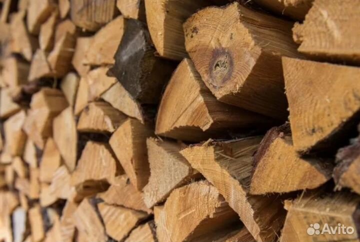 Дрова осина
