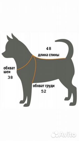 Костюм для собаки
